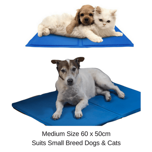 Dog Cat Pet Cooling Mat Non-Toxic Ice Gel Pad for Dogs Cats in Hot Summer Sparesbarn