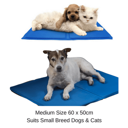 Labrador Retriever Dog Puppy Summer Sleeping Cooling Gel Mat Bed Mattress Pad AU Sparesbarn
