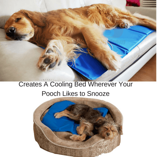 Non-Toxic Pet Self Cooling Pad Cold Mat for Dog Cat Bed Kennels Crates Sparesbarn